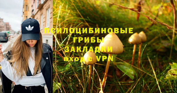 метамфетамин Алексеевка