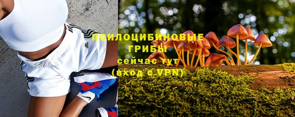 дмт Алексин