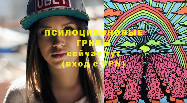 дмт Алзамай