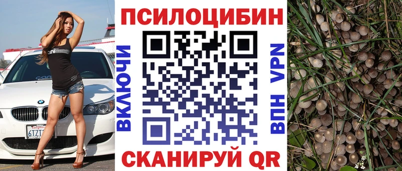 блэк спрут маркетплейс  Гвардейск  Псилоцибиновые грибы Magic Shrooms 